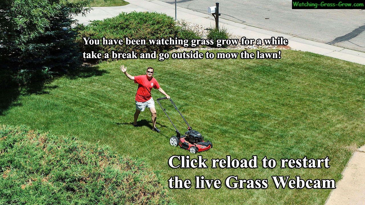 mow-lawn-break.jpg