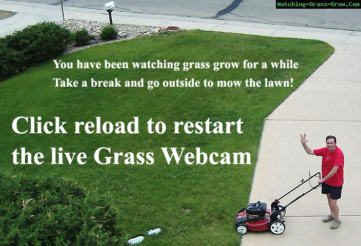 mow lawns pictures