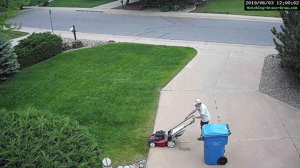 lawn mower pull