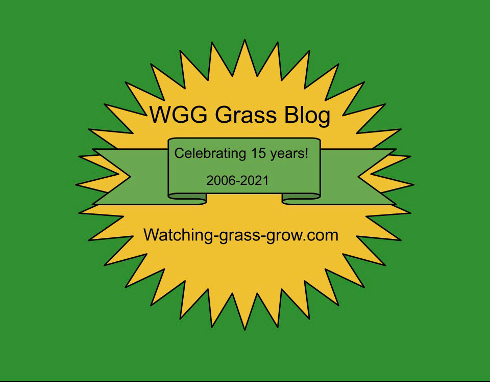 Grass Blog 15th Anniversary