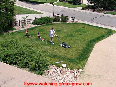 watching_grass_grow_2004_06_20.jpg