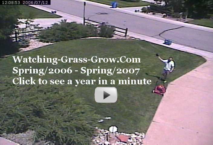 Click to watch movie of grass growing for a year