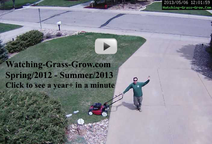 Click to watch movie of grass growing for a year
