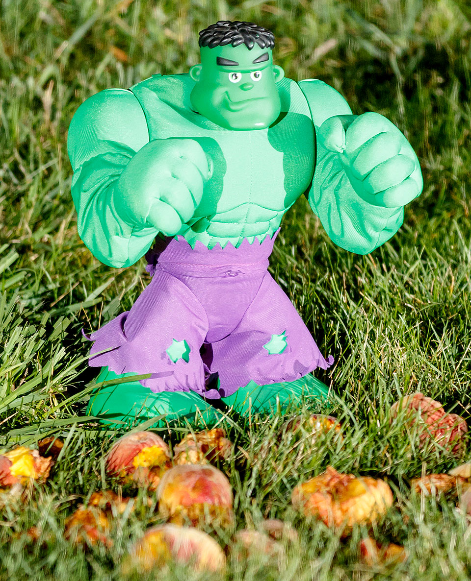 hulk via Canon Camera