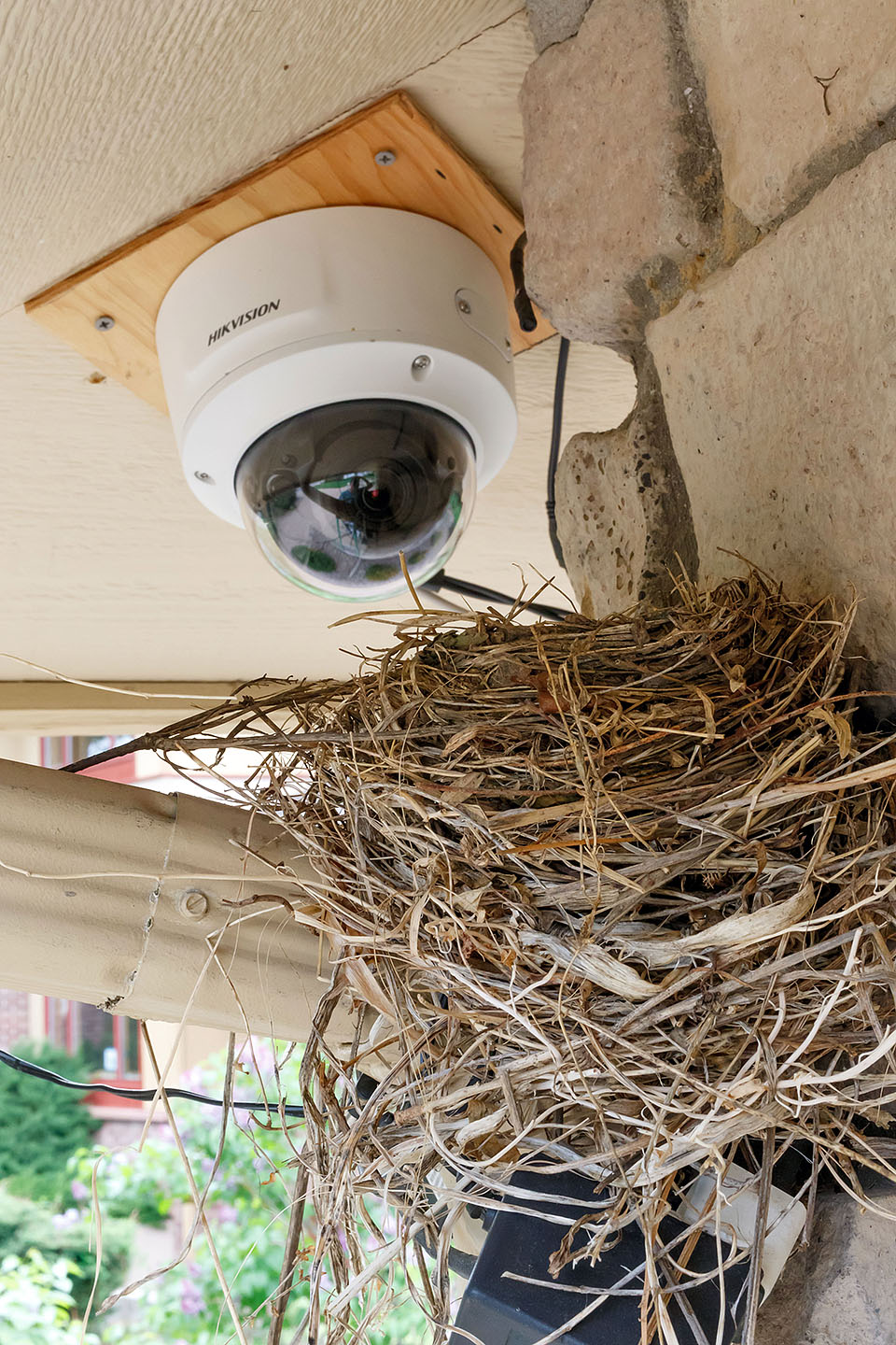 robin nest house 0521f