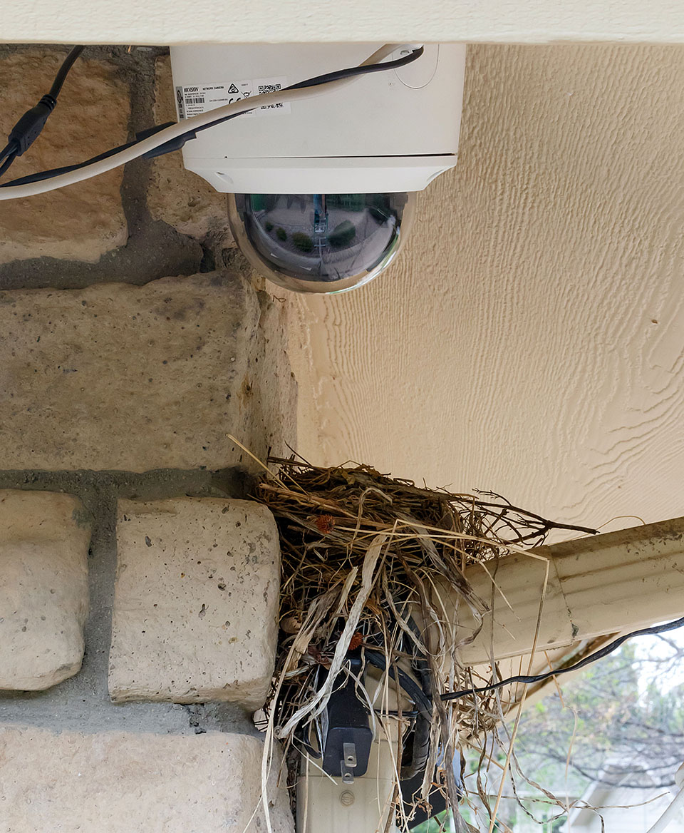 robin nest house 0521g