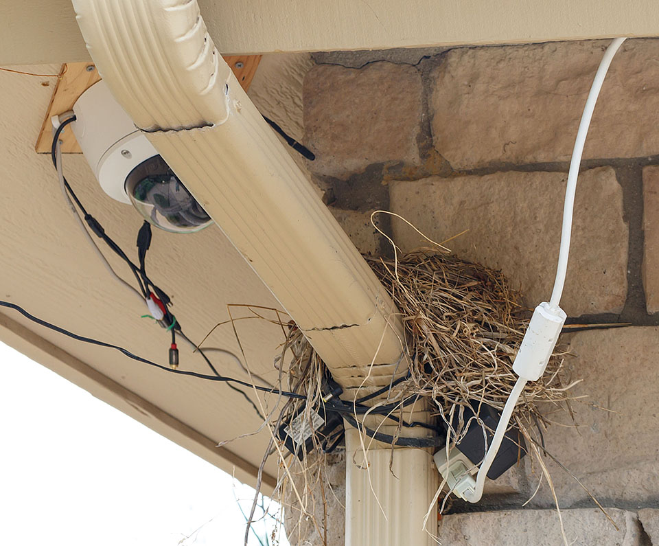 robin nest house 0521e