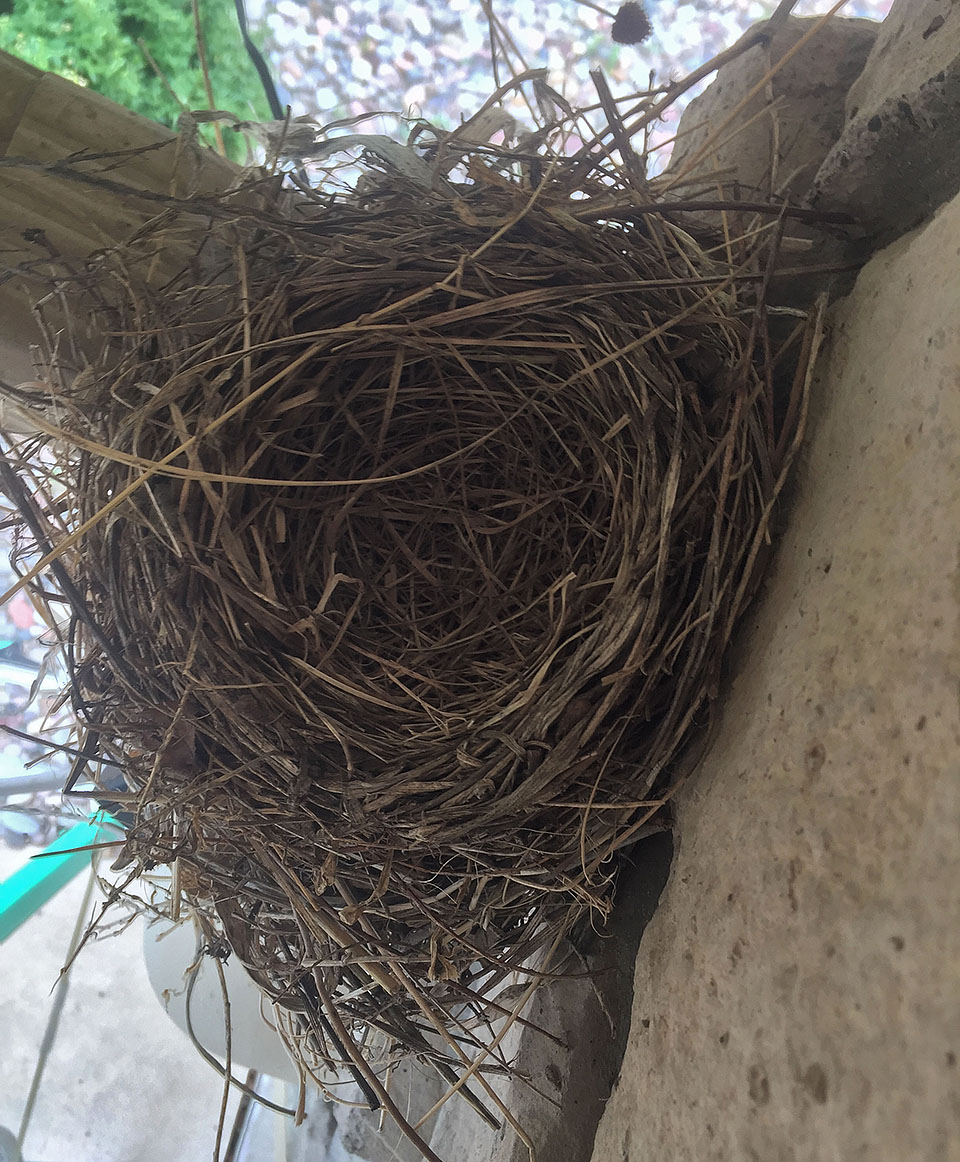 robin nest house 0521b