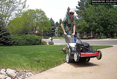 mower with robin