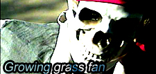 skeleton grass