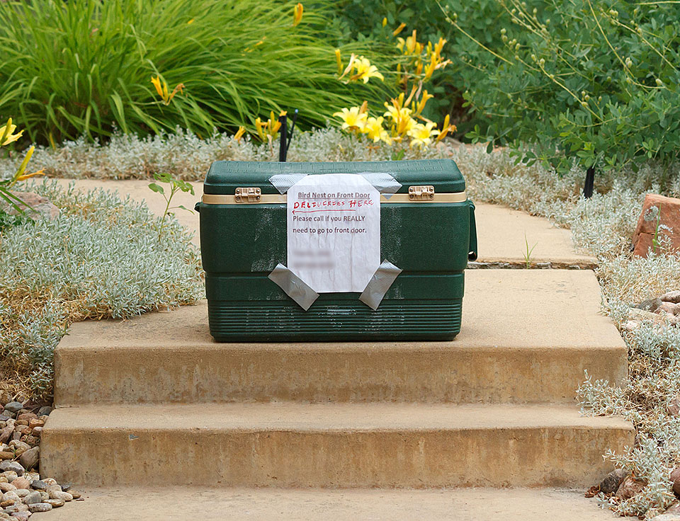 house finch blocker