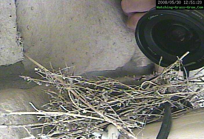 finch camera