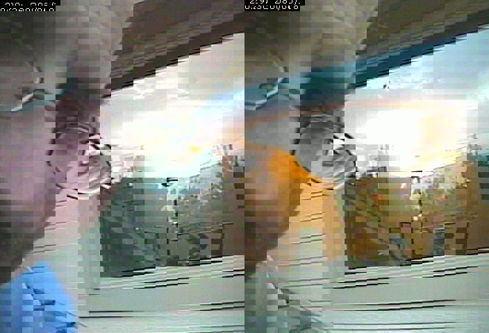 birdcam off