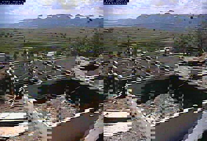 fly on webcam