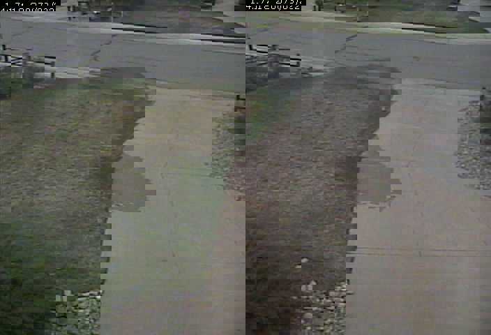 sprinkler grass