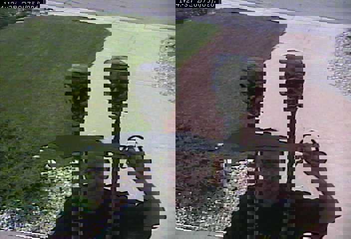 skull brothers webcam