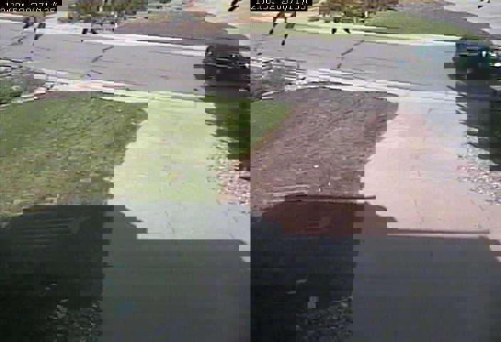 grass grass 2007