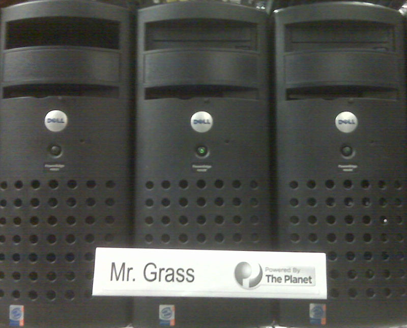 grass web server