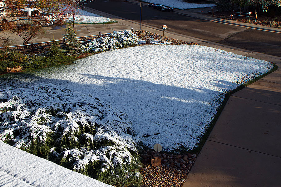 grass snow front yard 