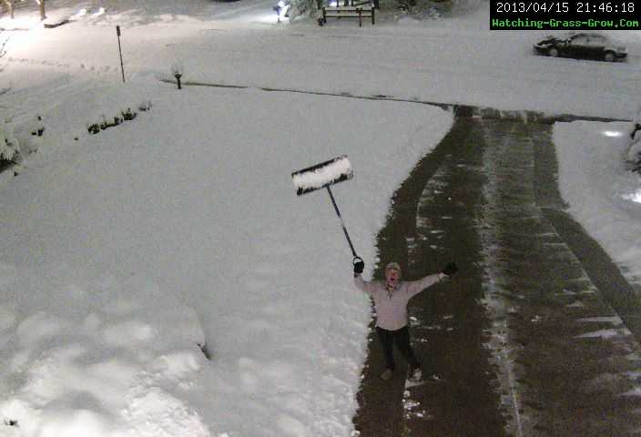 grass snow night