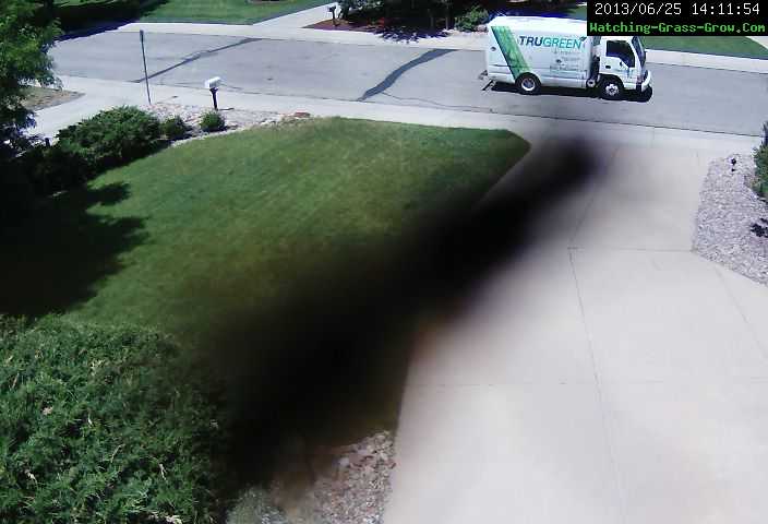 grass bug on webcam