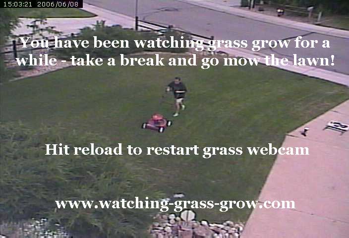 grass pictures