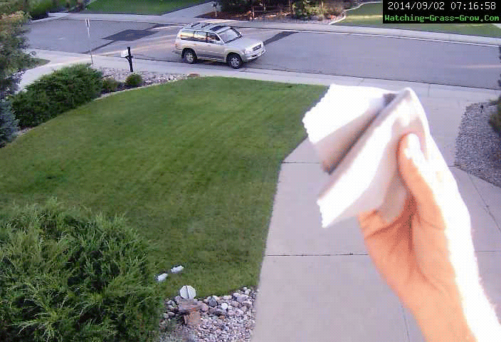 grass webcam smudge