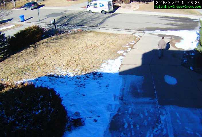 grass snow shadow