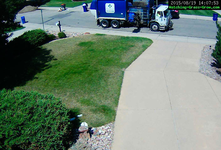 grass garbage pickup