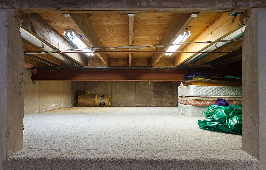 christmas crap crawlspace