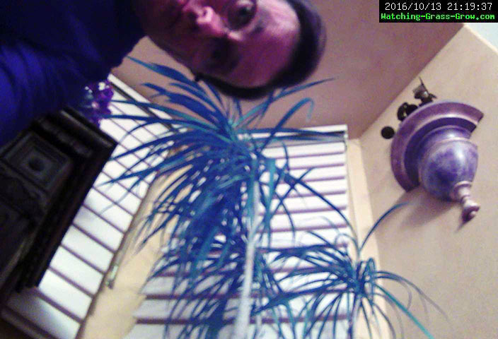 grass webcam broke