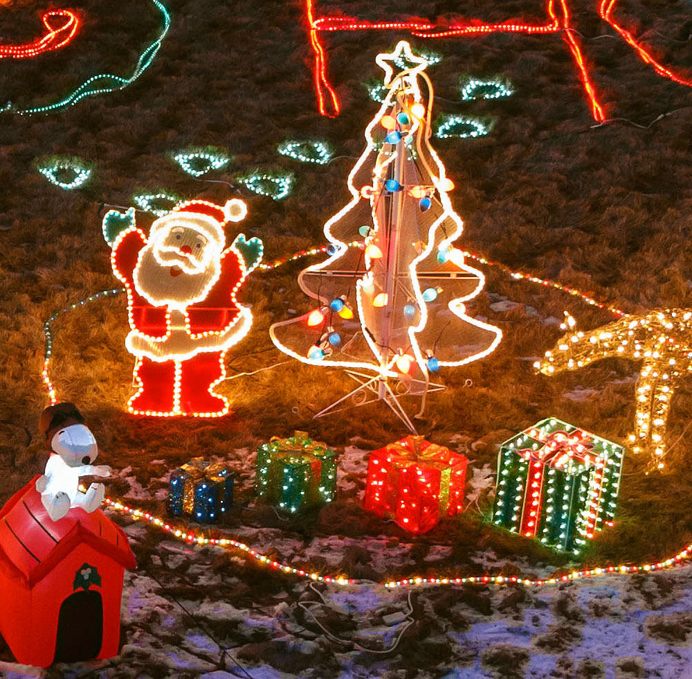 2014 christmas front yard