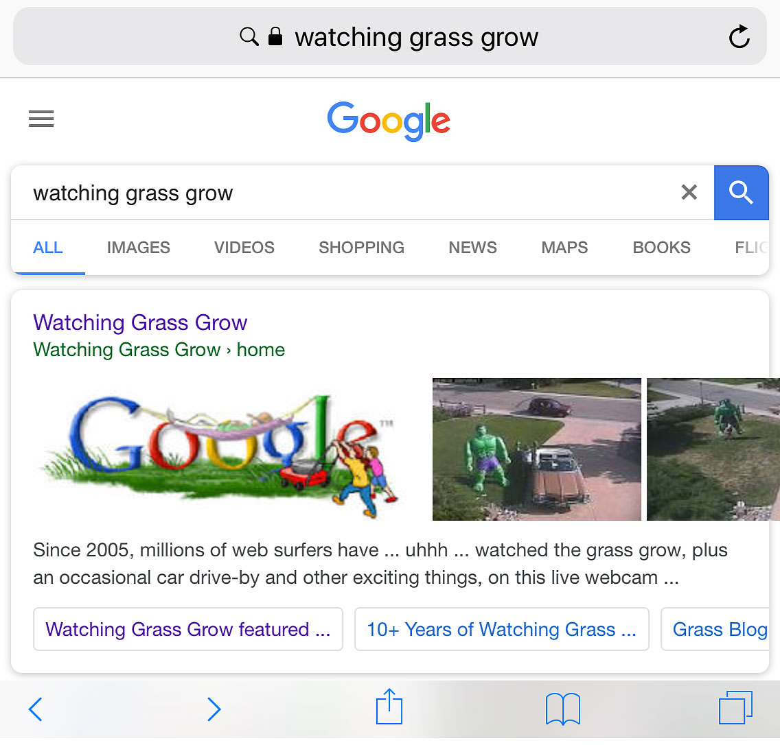 watching grass grow google