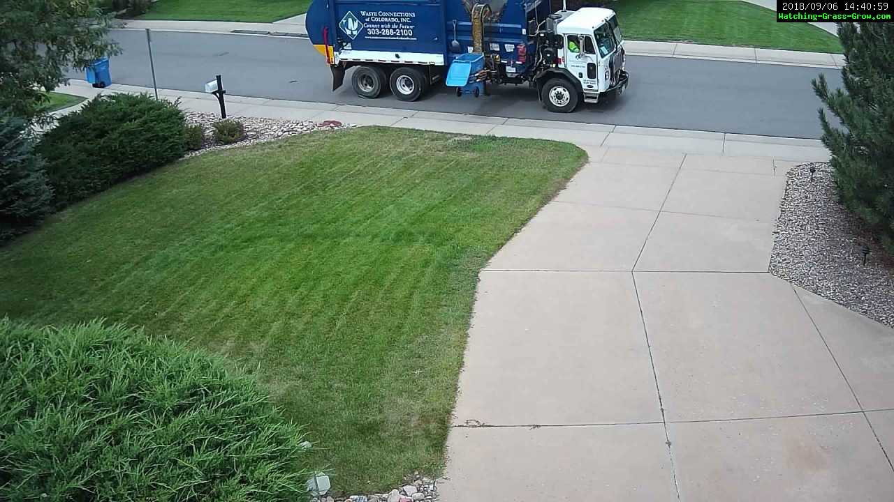 grass garbage pickup