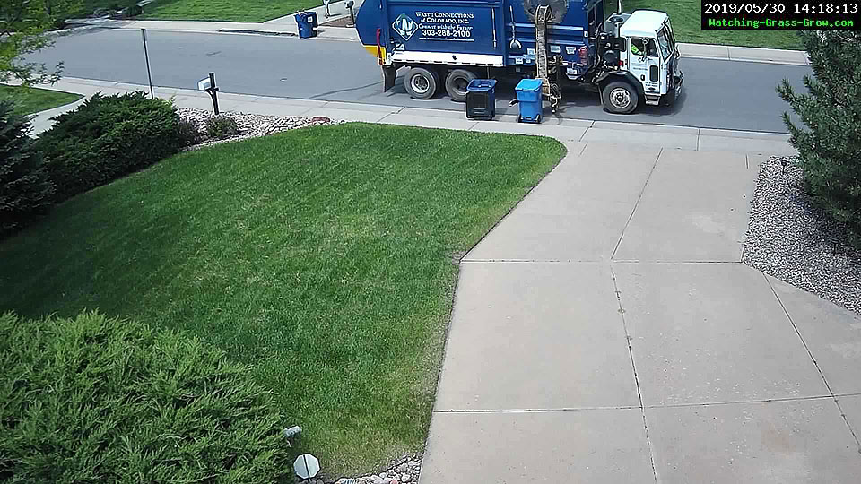 trash pickup