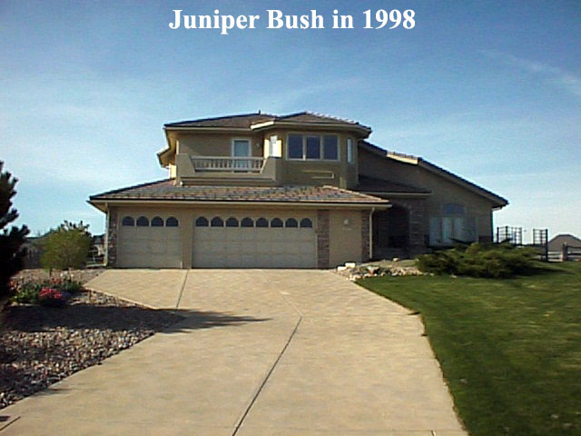 1998 juniper streetview