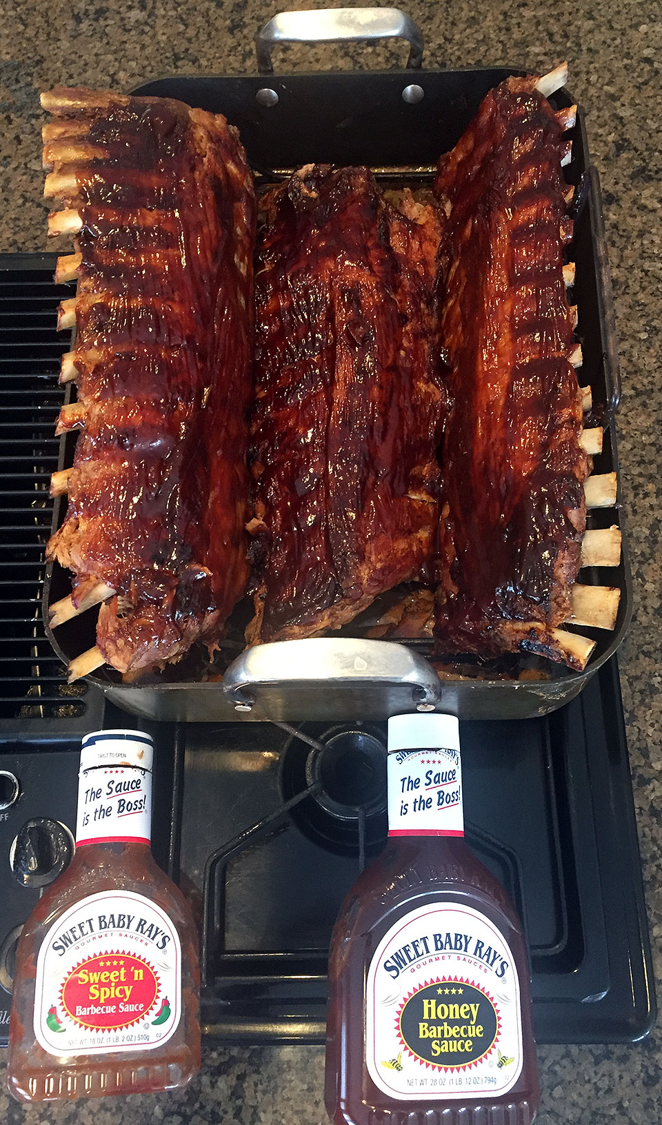 RIBS