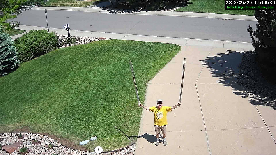 before/after juniper/flowers webcam