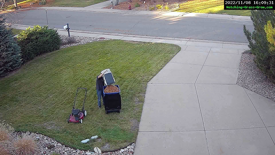 leaves cleanup on lawn