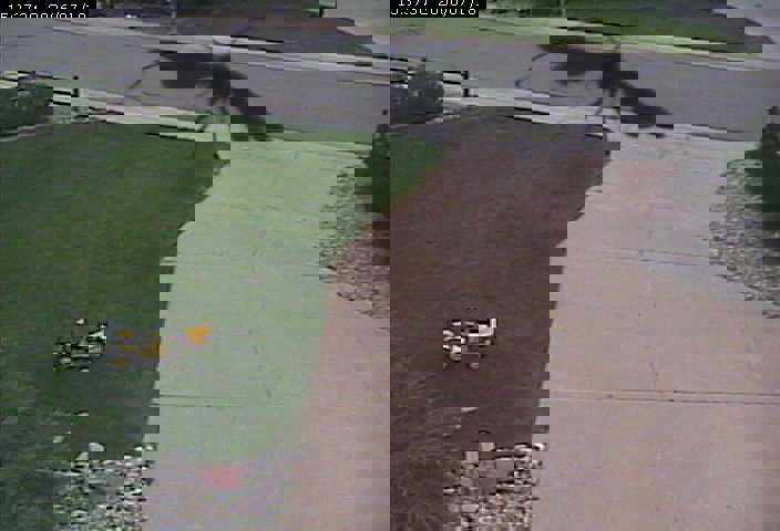 bug in webcam