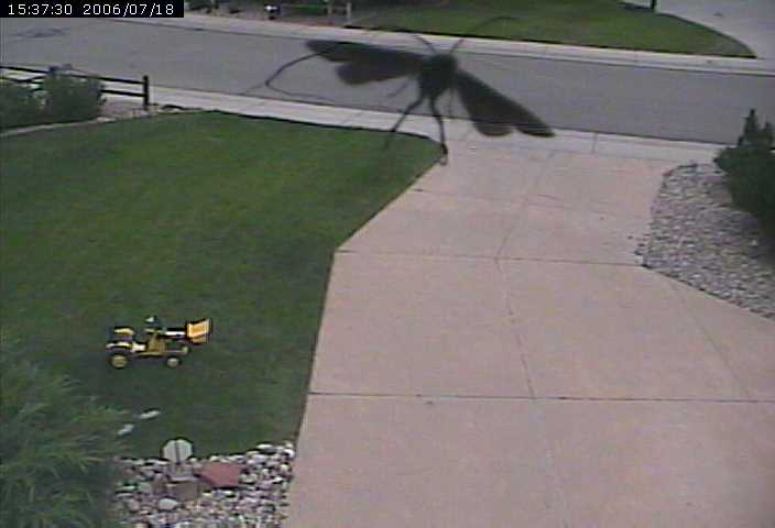 bug webcam