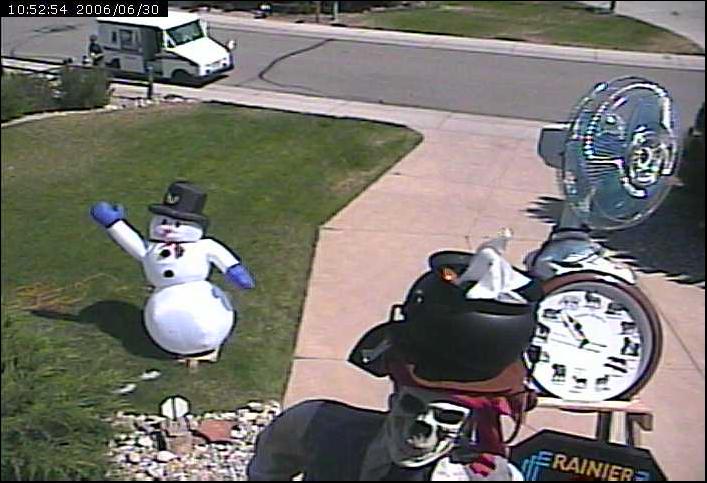 snowman grass mailbox