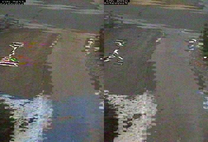 martini glass webcam