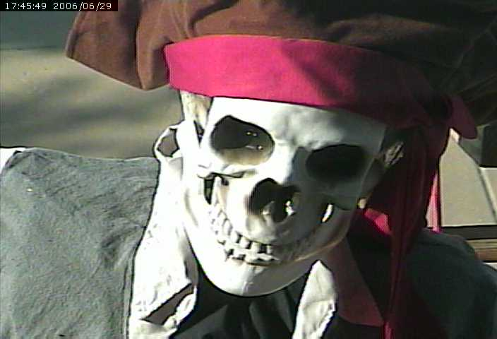 skeleton closeup