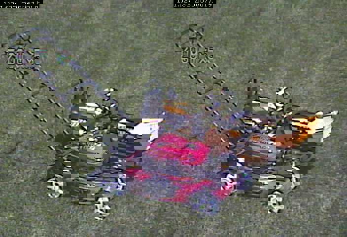 caterpeg and lawn mower