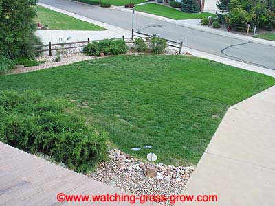 watching grass grow 7 watching grass grow 7