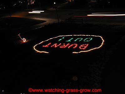watching grass grow 12 xmas 2003