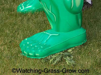 weed puller 3